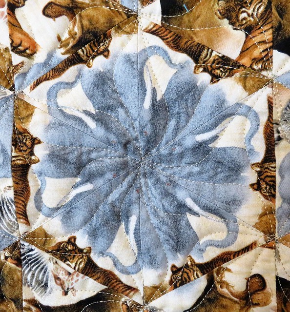 0240516283362_9cc22c23d9_z