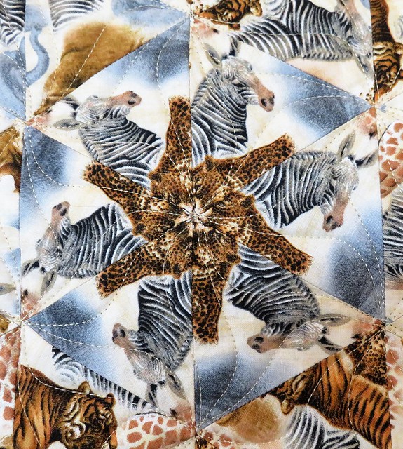 0539663575995_850b5498fc_z