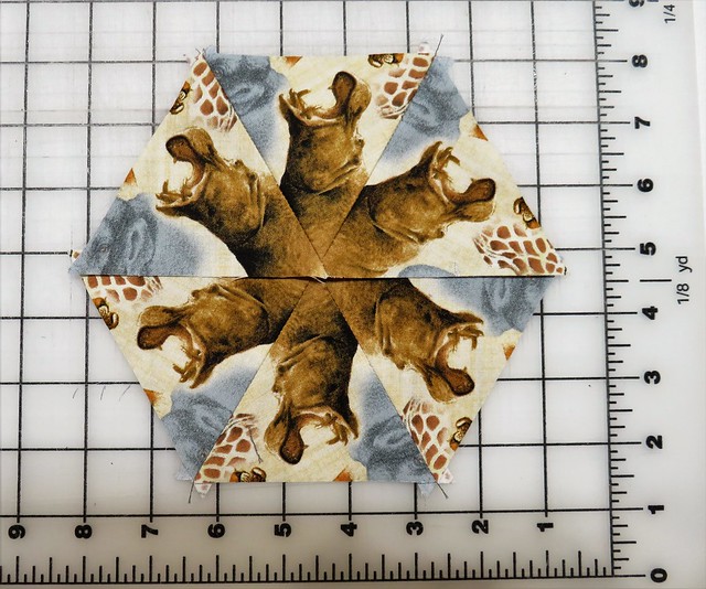 0738831369264_07383bf204_z