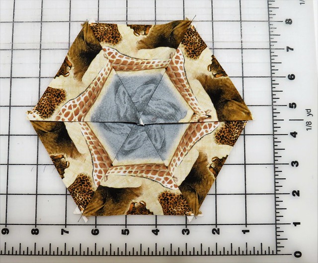 1038831329794_5a577162e8_z