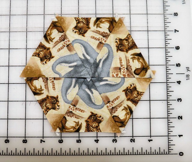 1139510483112_5a876fb9a3_z