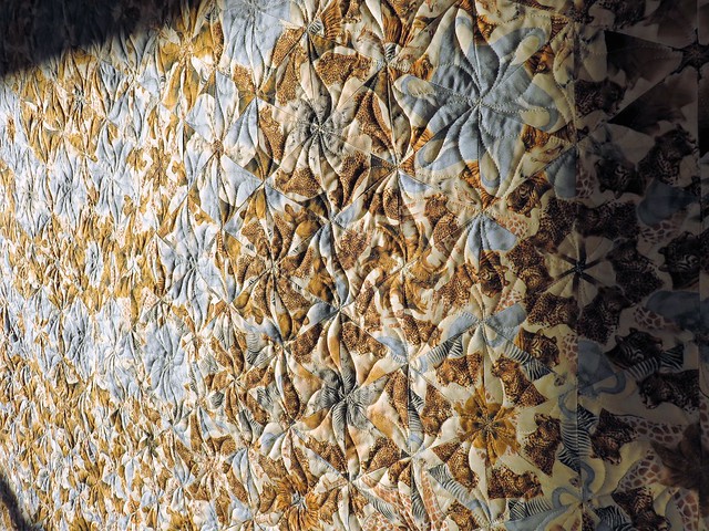 1339663620675_ceb3824131_z