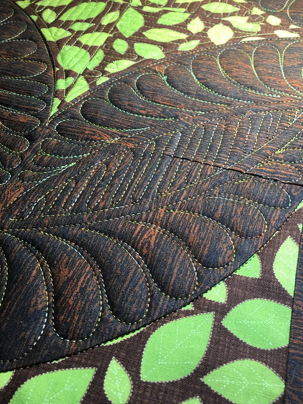 32220223125_dc37deb76e_c