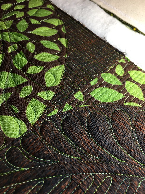 32220223375_407c0310e8_c